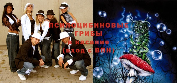а пвп мука Алзамай