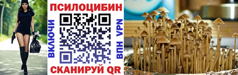 Галлюциногенные грибы Psilocybine cubensis Байкальск